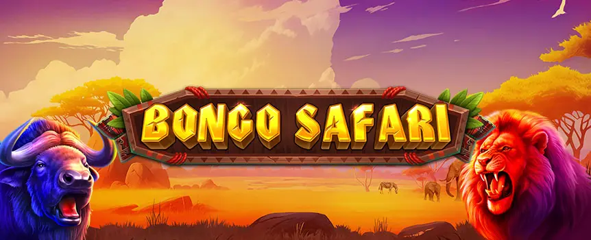 Head into the wild with Bongo Safari on Joe Fortune! Spin for Free Spins, Collect wins, and take a crack at the Static Jackpot.