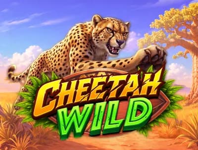 Cheetah Wild