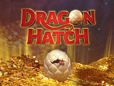 Dragon Hatch