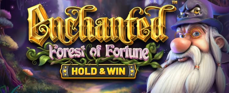 Enchanted: Forest of Fortune