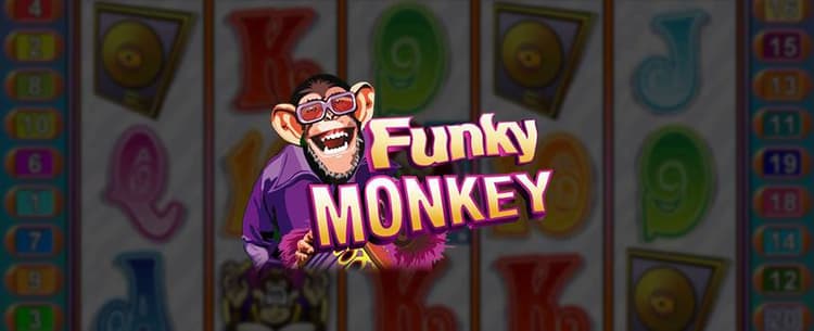 Learn to play Funky Monkey slot machine